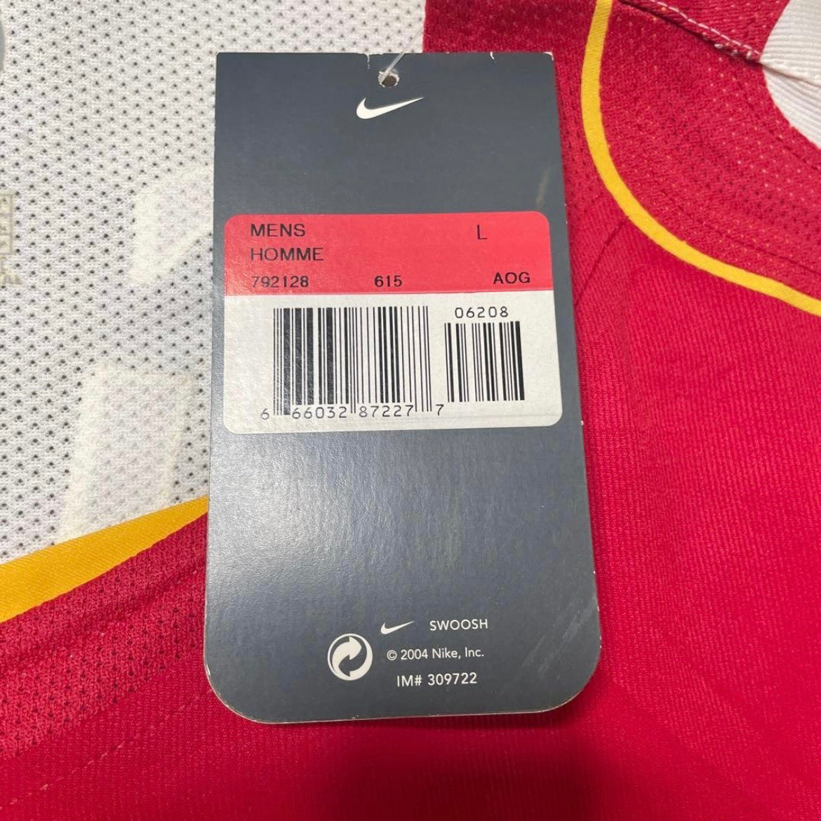 【BNWT正規選手支給品2004-2005 NIKE Arsenal home L/S Bergkamp #10】